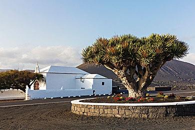 《胜利女神 妮姬》x《电锯人》联动PV公布 2月22日上线